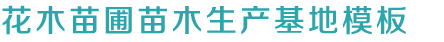 PG电子·(中国区)官方网站